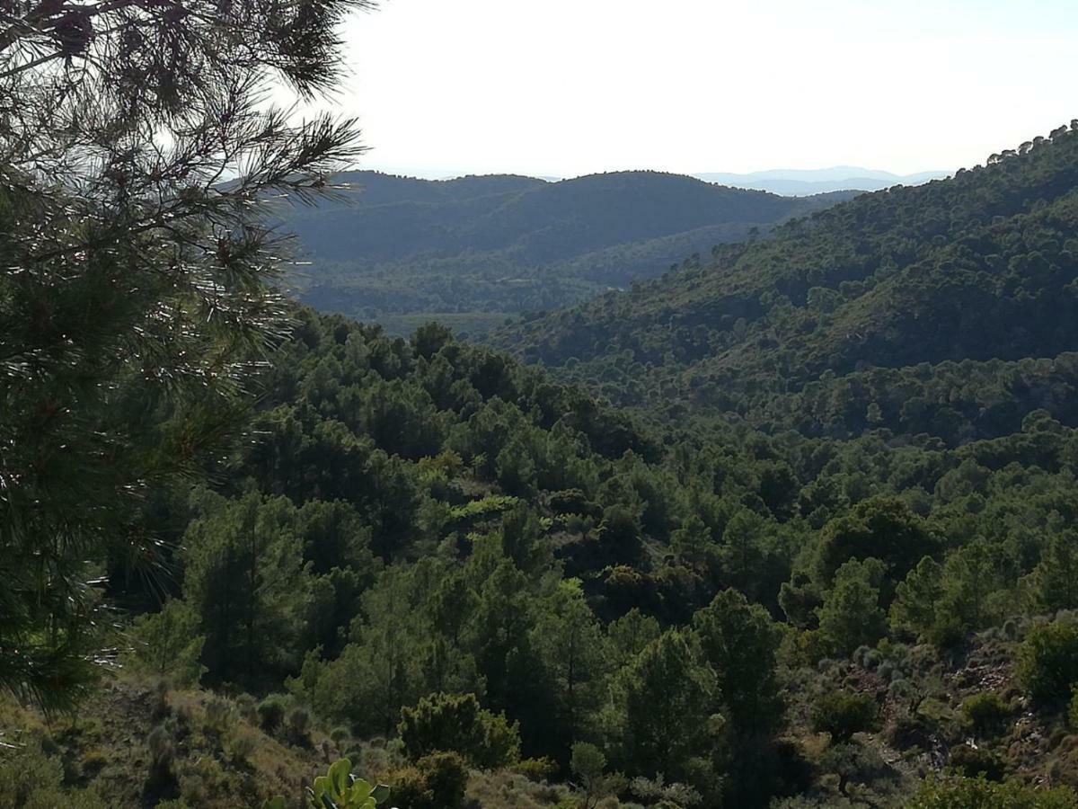 Ca'Ls Avis Pension Serra Buitenkant foto